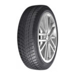 Nordexx WinterSafe X2